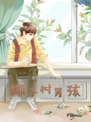 椰子树图片大全