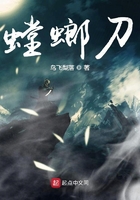 赛博朋克暴恐机动队螳螂刀